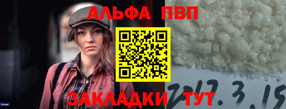Alfa_PVP СК КРИС Волжский