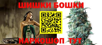 индика Конаково